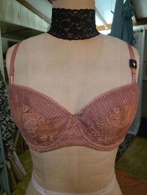 Victoria's Secret Dream Angels Push Up No Padding 34 DD NWT